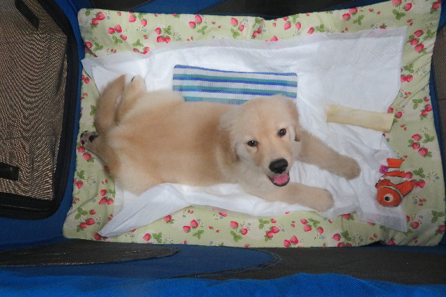 ファイル 6539-4.jpg