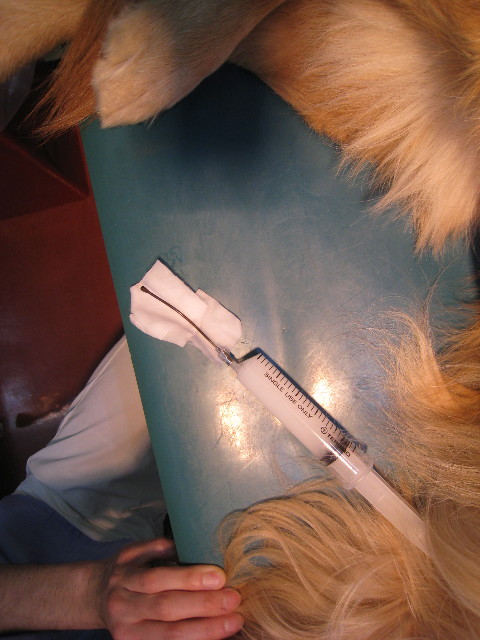 ファイル 654-1.jpg