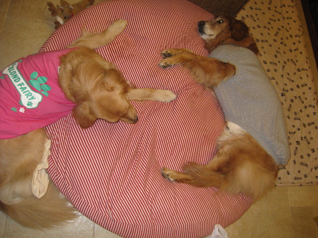 ファイル 654-3.jpg