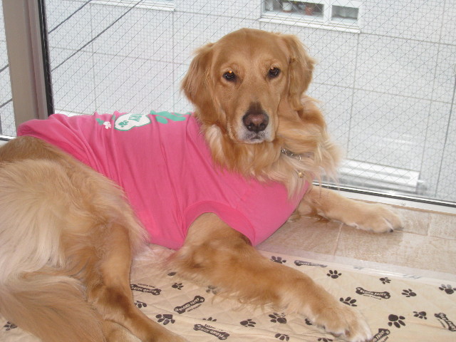 ファイル 654-5.jpg