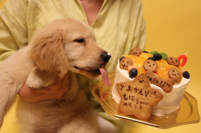 ファイル 6540-2.jpg