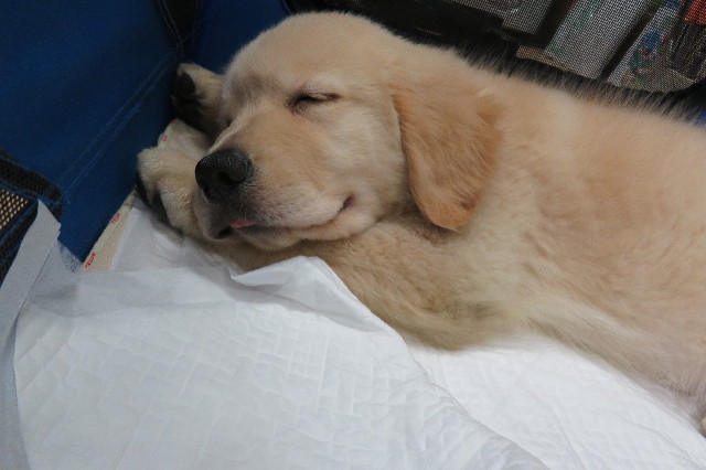 ファイル 6540-5.jpg