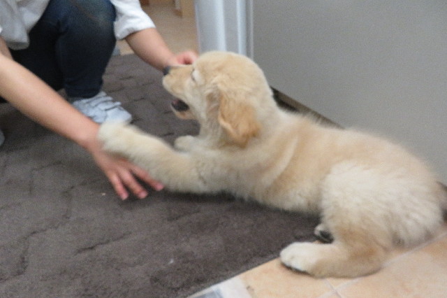 ファイル 6543-4.jpg