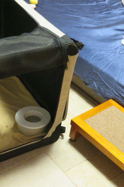 ファイル 6545-4.jpg