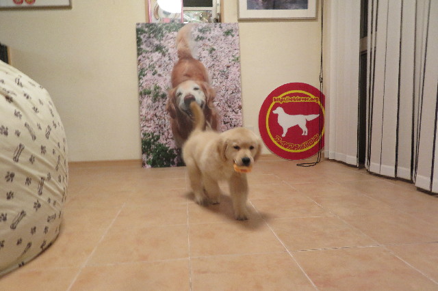 ファイル 6545-5.jpg