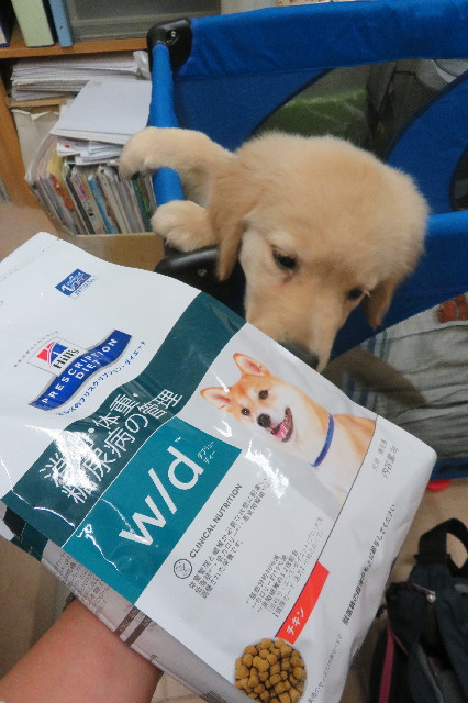 ファイル 6546-2.jpg