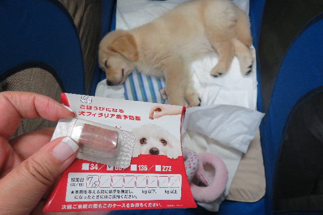 ファイル 6546-3.jpg