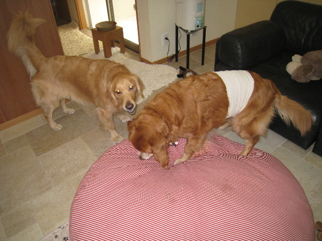 ファイル 655-1.jpg