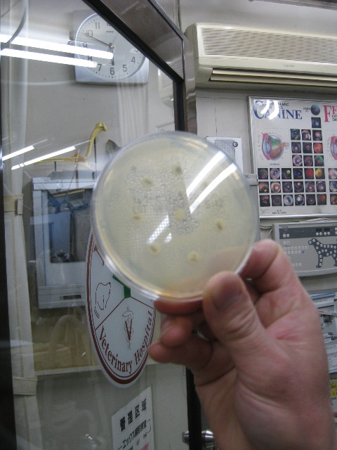 ファイル 655-3.jpg