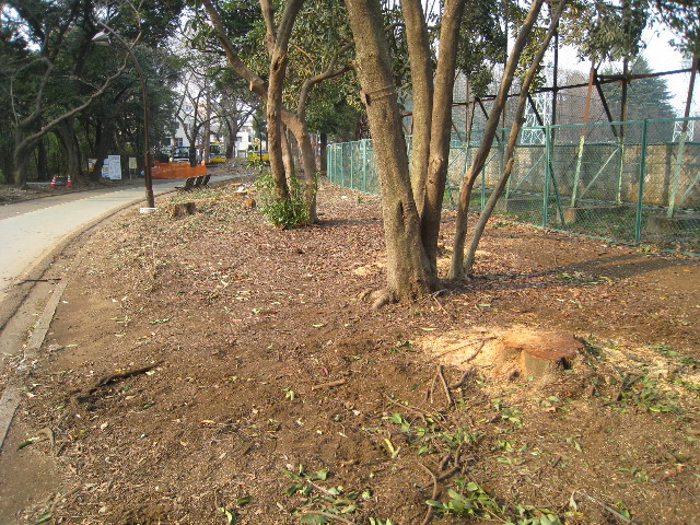 ファイル 655-4.jpg