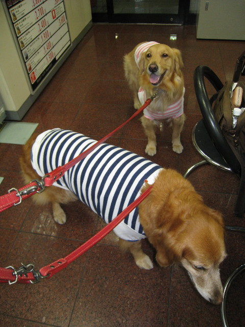 ファイル 655-5.jpg