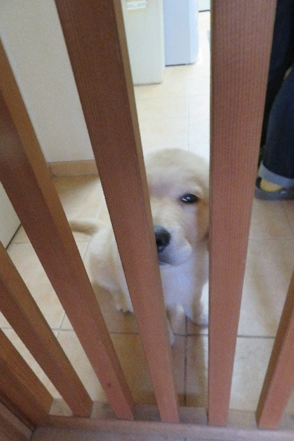 ファイル 6550-4.jpg