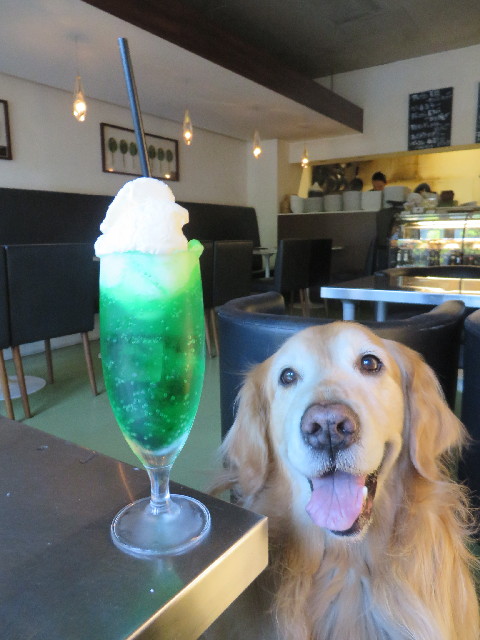 ファイル 6551-1.jpg