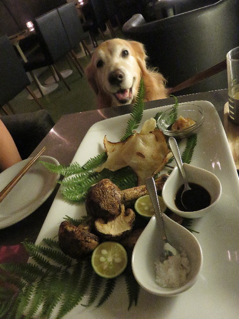 ファイル 6551-2.jpg