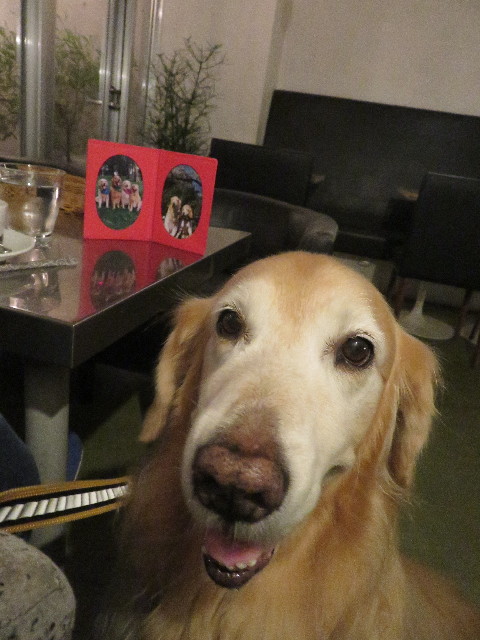 ファイル 6551-5.jpg