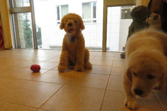 ファイル 6552-2.jpg