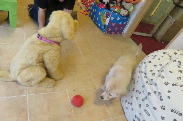 ファイル 6552-4.jpg