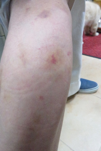 ファイル 6553-1.jpg