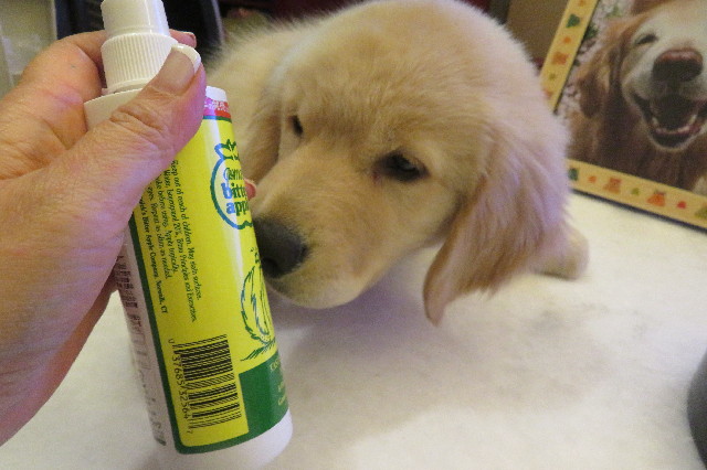 ファイル 6553-5.jpg