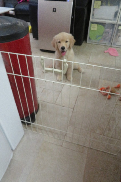 ファイル 6554-3.jpg