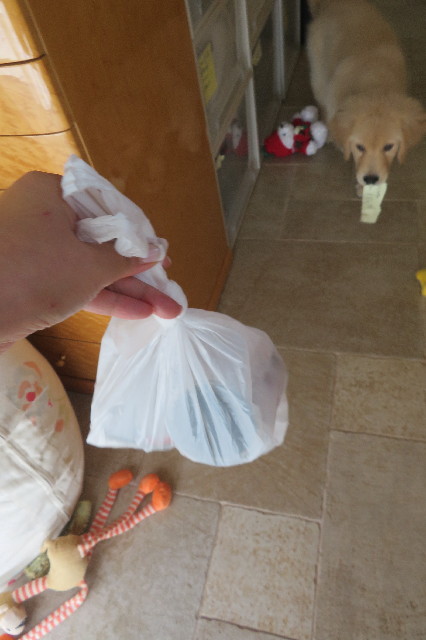 ファイル 6557-3.jpg