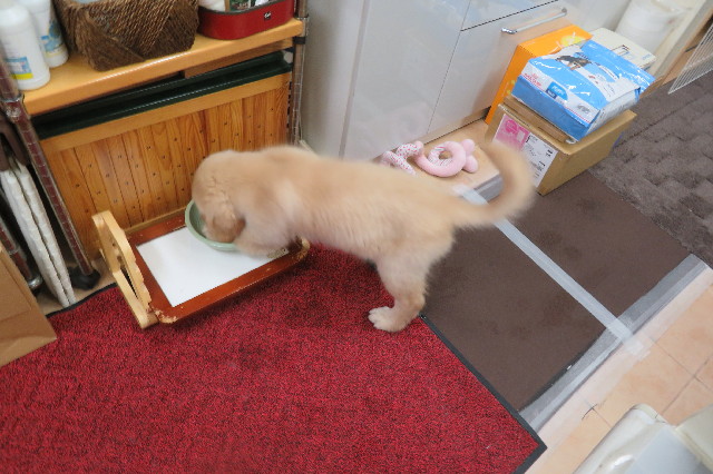 ファイル 6557-5.jpg