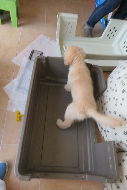 ファイル 6559-1.jpg