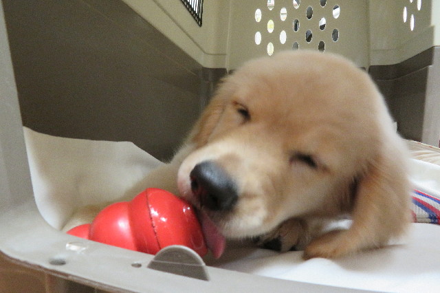 ファイル 6559-2.jpg