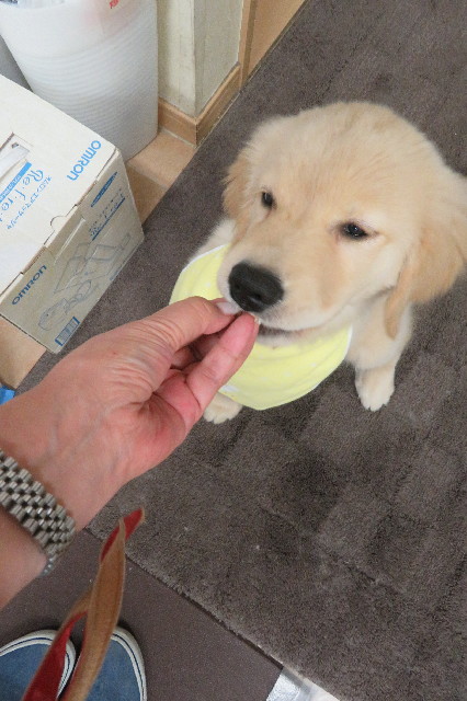 ファイル 6559-5.jpg