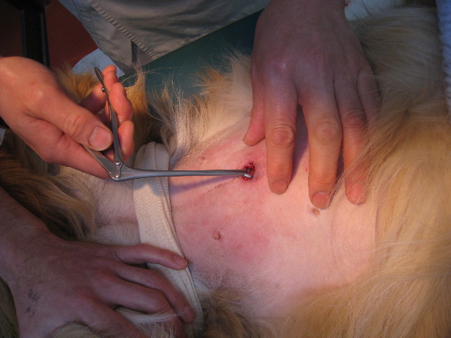 ファイル 656-2.jpg