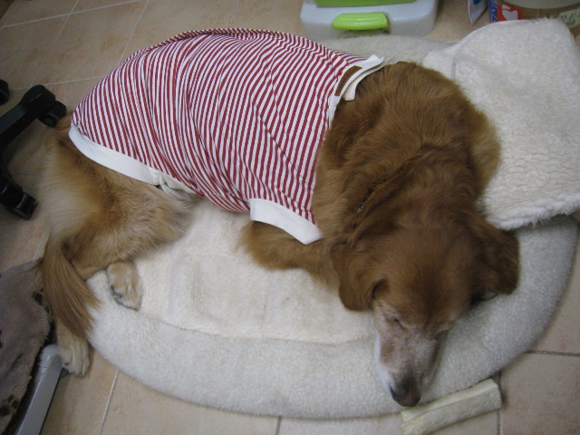 ファイル 656-4.jpg