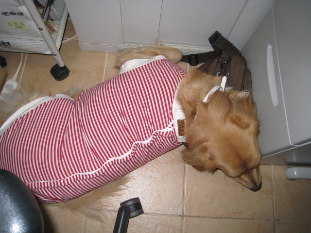 ファイル 656-5.jpg