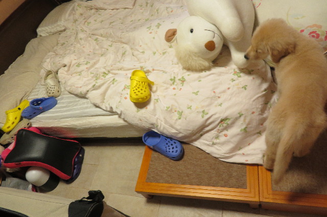 ファイル 6561-2.jpg