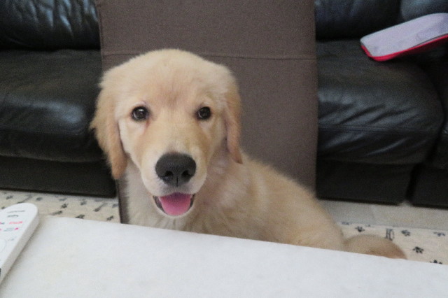 ファイル 6561-3.jpg