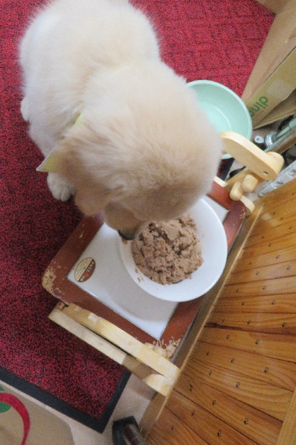 ファイル 6561-4.jpg