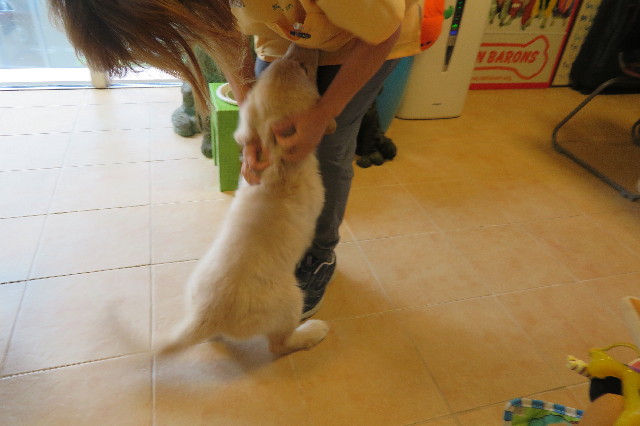 ファイル 6561-5.jpg