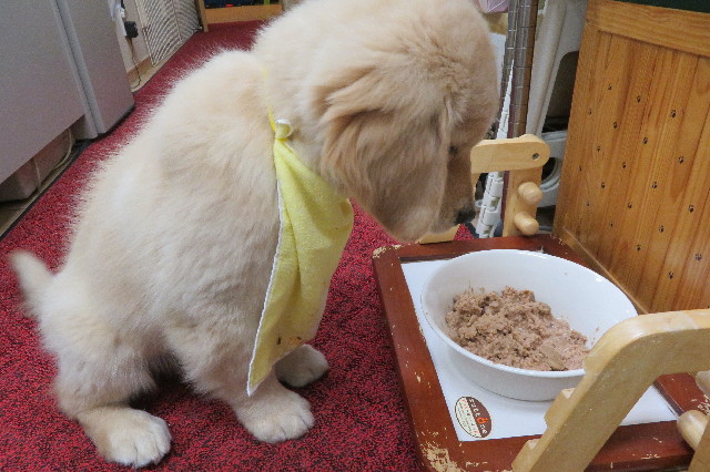 ファイル 6562-1.jpg