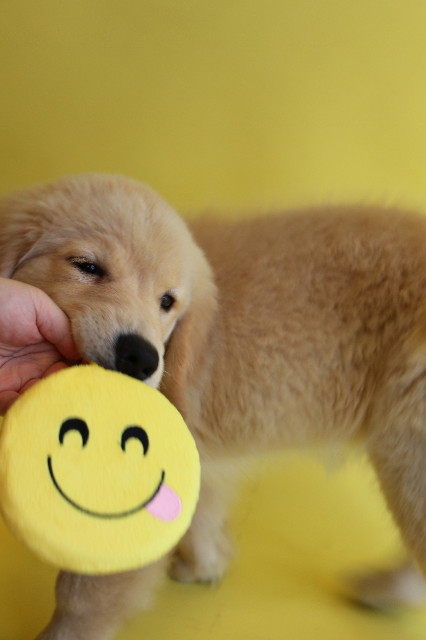 ファイル 6563-3.jpg