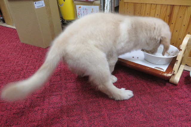 ファイル 6565-1.jpg