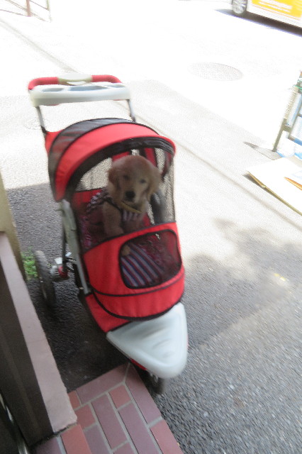 ファイル 6565-3.jpg