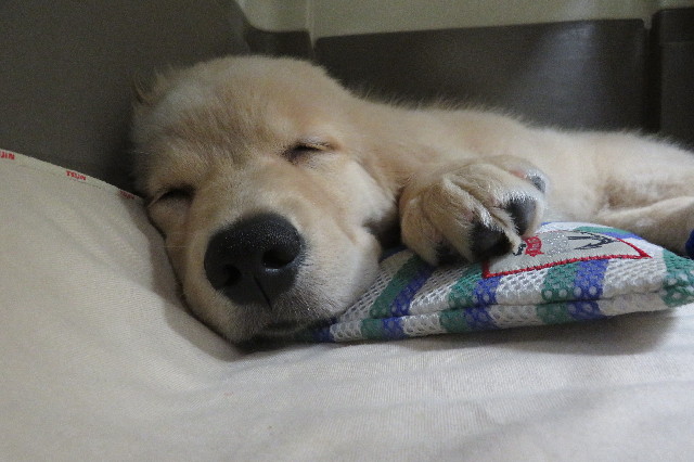 ファイル 6565-5.jpg