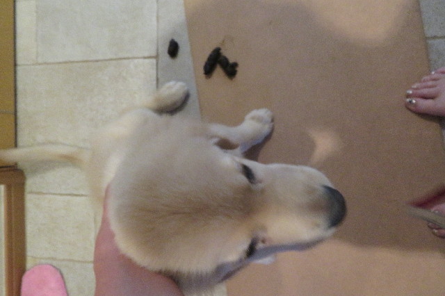 ファイル 6566-1.jpg