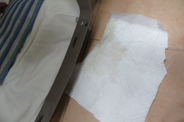 ファイル 6566-2.jpg