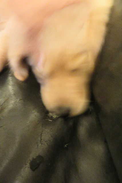 ファイル 6566-4.jpg