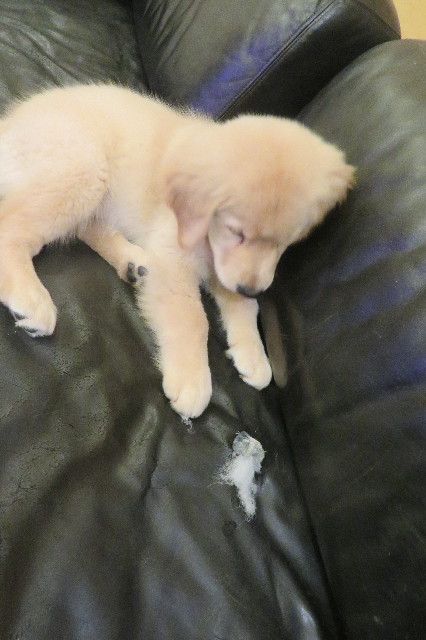 ファイル 6566-5.jpg