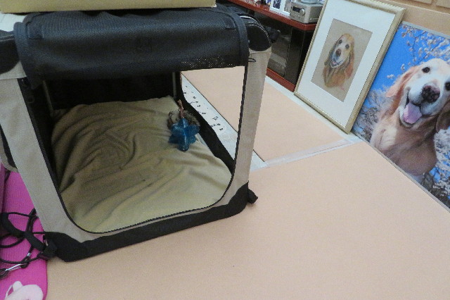 ファイル 6567-1.jpg