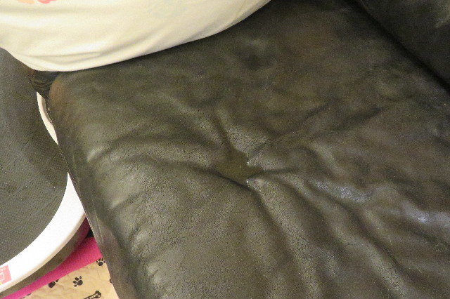 ファイル 6568-2.jpg