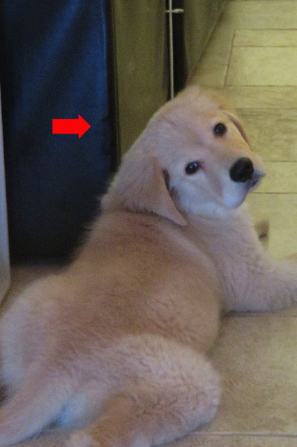 ファイル 6568-5.jpg