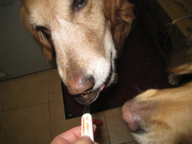 ファイル 657-2.jpg