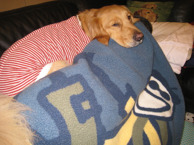 ファイル 657-5.jpg